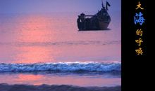 大海的呼唤_800字
