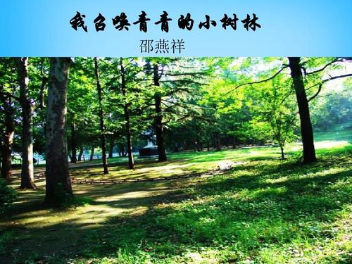 温暖的电话_500字