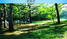 森林的呼唤_500字