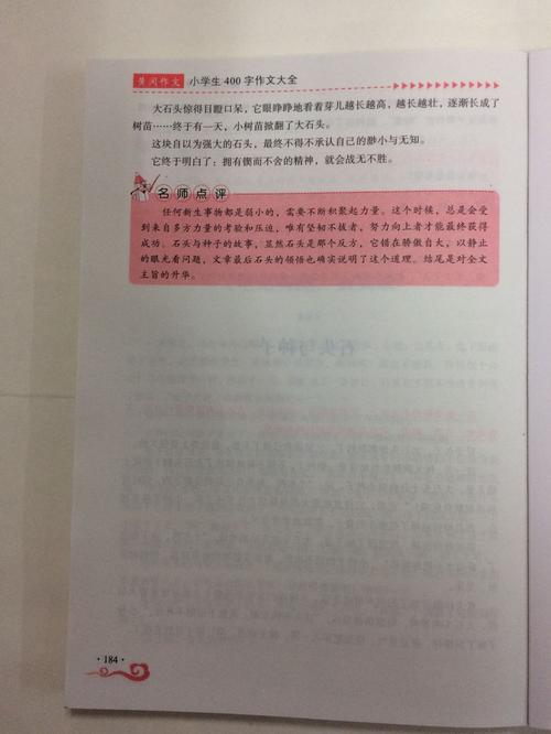 谈论课外书籍_400字