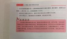 谈谈课外书_400字