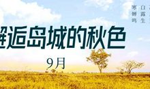 聆听生的呼唤_1000字