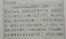 关于雨的作文：阴雨_100字