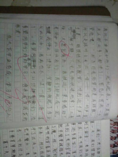 买蔬菜_400字