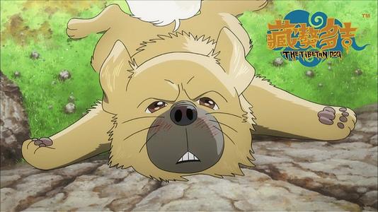 “藏獒”回顾_1200字