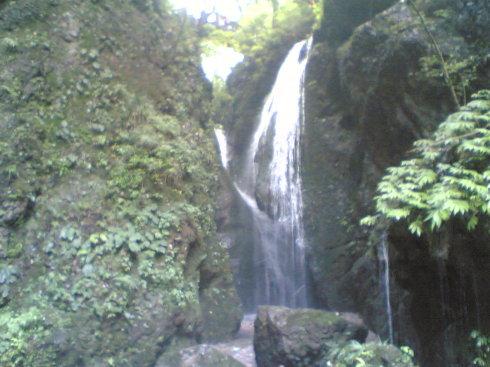 记得青城山社会惯例_1200字