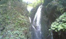 记青城山社会实践_1200字