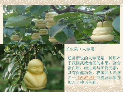 我的“长寿”