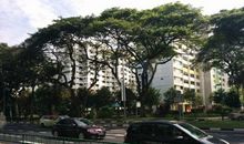 新加坡游记_1200字