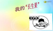 《我的“长生果”》读后感_500字