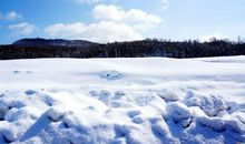 春天优美段落：春段落_700字