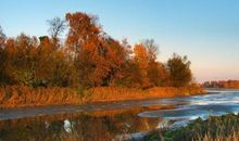 春天优美段落：我最喜欢的季节段落_650字