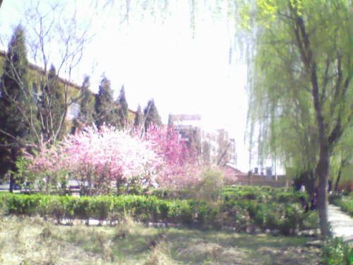 春季美丽段落：美丽的春季_650字