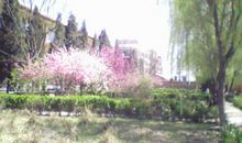 春天优美段落：美丽的春天段落_650字