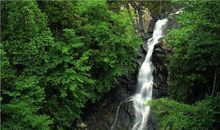 春天优美段落：春段落_600字