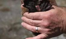 哎，我的同桌_550字