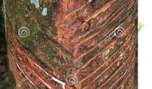 似水滴的爱_750字