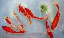 【锦鲤的故事】_700字