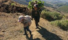 到贫困山区去_500字