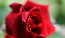 第二十五章-普里阿摩斯，赫卡柏和帕里斯