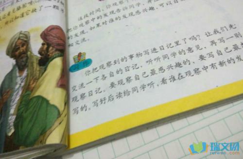我的小乌龟_400字