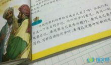 我的小海龟_400字