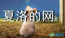 小老鼠探险家_400字