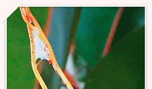 成长路经一腔豪情_1200字