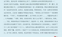 学生安全演讲稿：平安是福