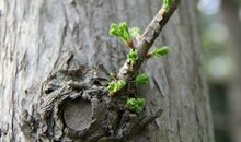 亲爱的同事，请听我说