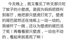 快乐的寒假_200字