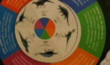 最后一只小恐龙（续）_650字