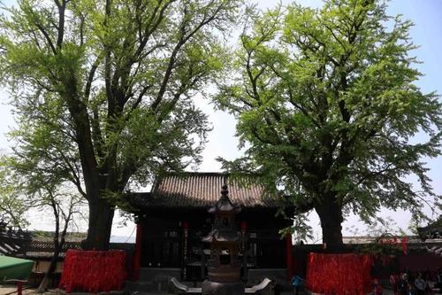 我喜欢Huacheng Mountain _650字