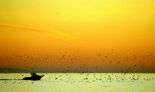 尘封的记忆_500字