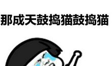 多好啊！小百灵_300字