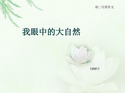 我的课外生活_1200字