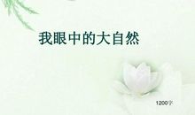 我的课外生活_1200字