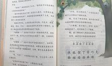 六年级想象作文：我是一棵树（五）_450字