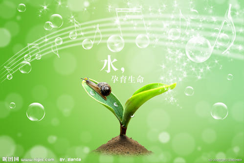 生命来源 - 水_1000字