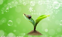 生命之源——水_1000字