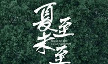 读《夏日历险》有感_1000字