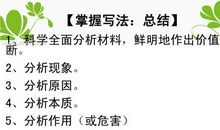 山东高考作文点评