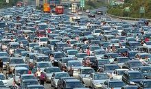 我的农忙假期_250字