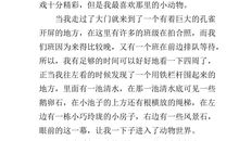 关于秋游的作文：快乐的秋游_800字
