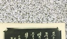 烈士们——永垂不朽_650字