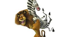 狮子与斑马_1500字