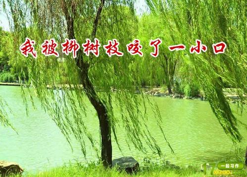 我把刘志放回家_800字