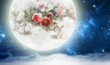 玉盘似的明月_500字