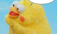 可爱的小黄鸡_550字