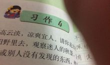 关于秋游的作文：秋游万石植物园_550字